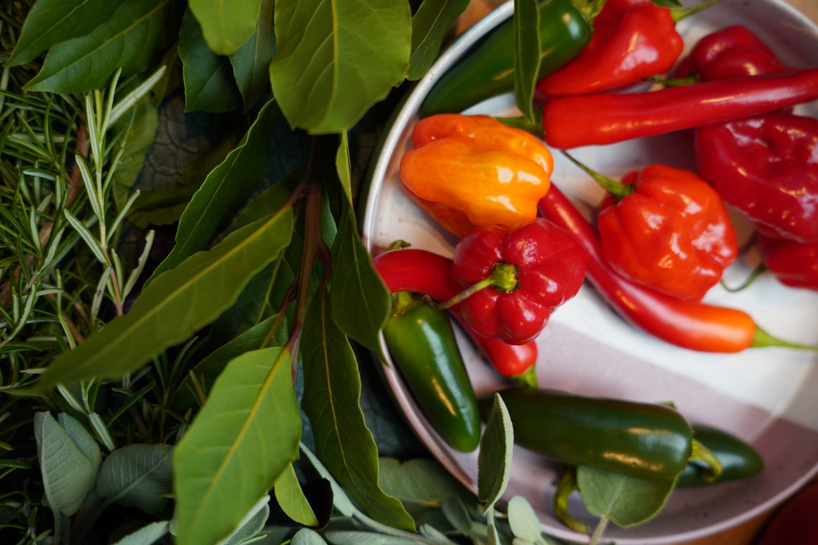 ZEST Haba Habanero chili salt blend product